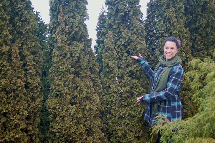 green screens living privacy fences ftimg v2 The first signs of spring brought me to our tree farm in Jackson. Our fields are full of trees for potential green screens to hide your neighbors, a s…