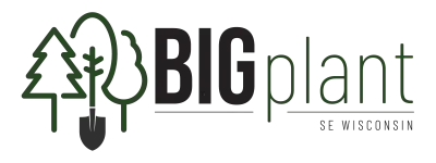 the big plant logo The Big Plant is a coordinated regional initiative to transform the Milwaukee River Basin by empowering residents to plant trees that enhance stormwater manag...