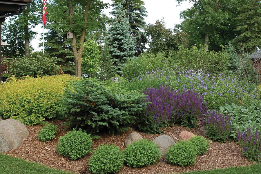 Many people enjoy DIY – cut your beds, install your plants, and lay your mulch! But most people don’t know the correct plants, the proper design aesth…