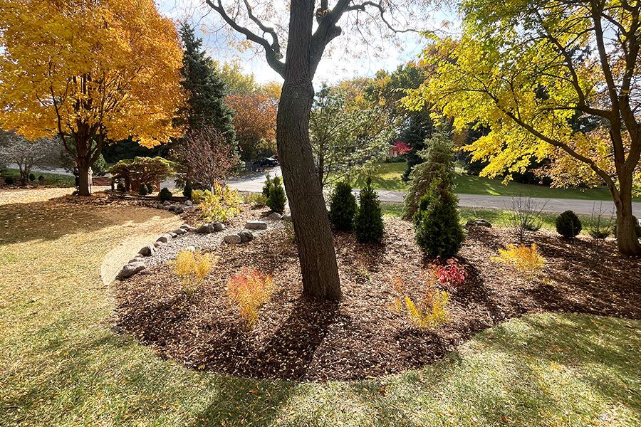 A large-scale planting in Colgate, WI that features several elements from privacy screening, specimen plants, and buckthorn removal from the pre…