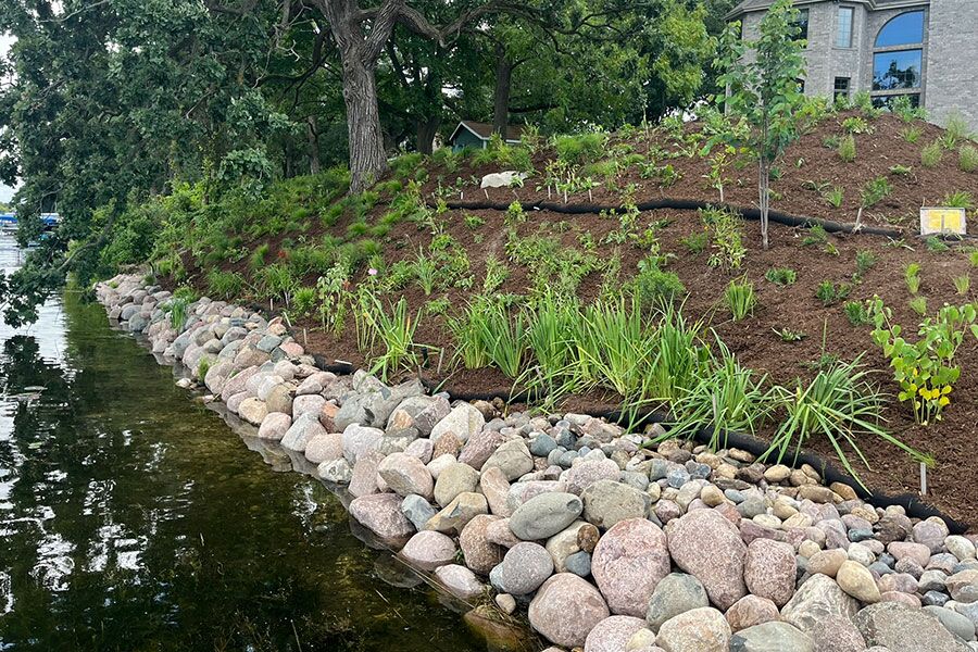 A large-scale planting project in Lake Mills, WI that features slope stabilization and shoreline restoration on a lake that was as overgrown with inv…